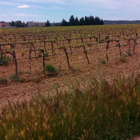 Les Cigales Villelaure